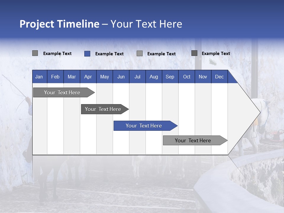 Jackass Mammal Donkey PowerPoint Template