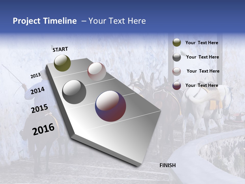 Jackass Mammal Donkey PowerPoint Template