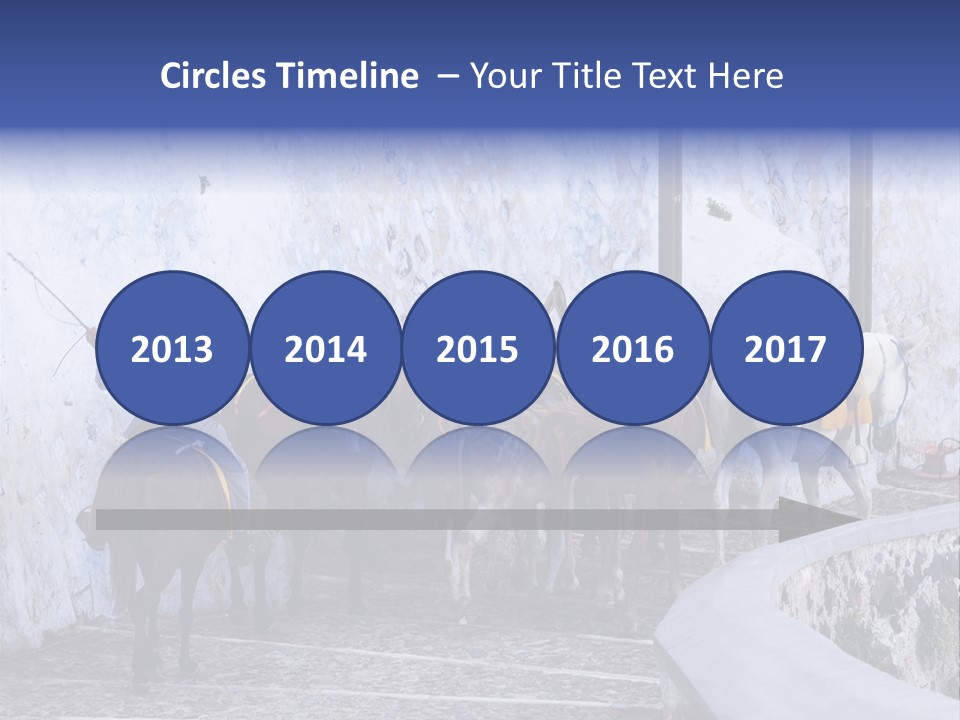 Jackass Mammal Donkey PowerPoint Template