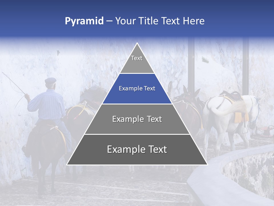 Jackass Mammal Donkey PowerPoint Template
