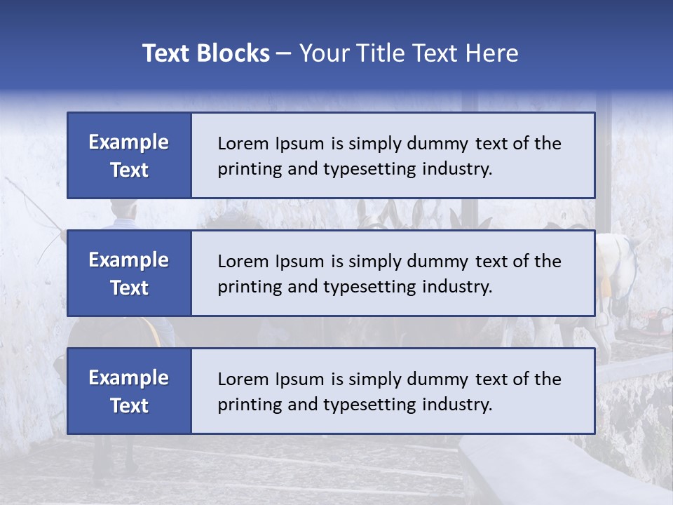 Jackass Mammal Donkey PowerPoint Template