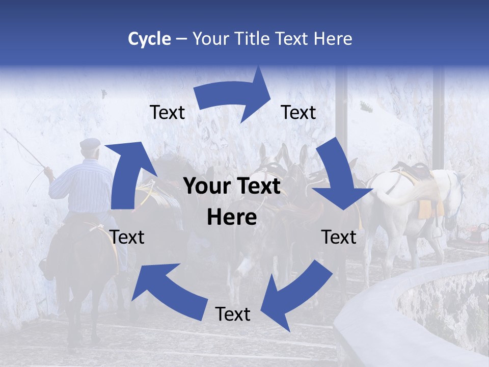 Jackass Mammal Donkey PowerPoint Template