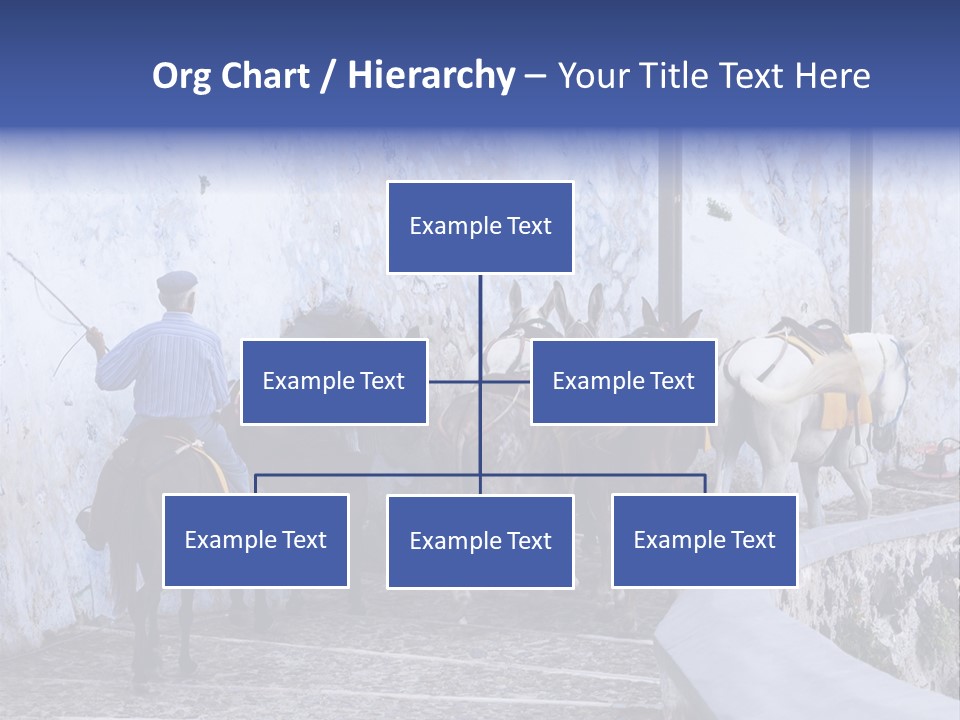 Jackass Mammal Donkey PowerPoint Template