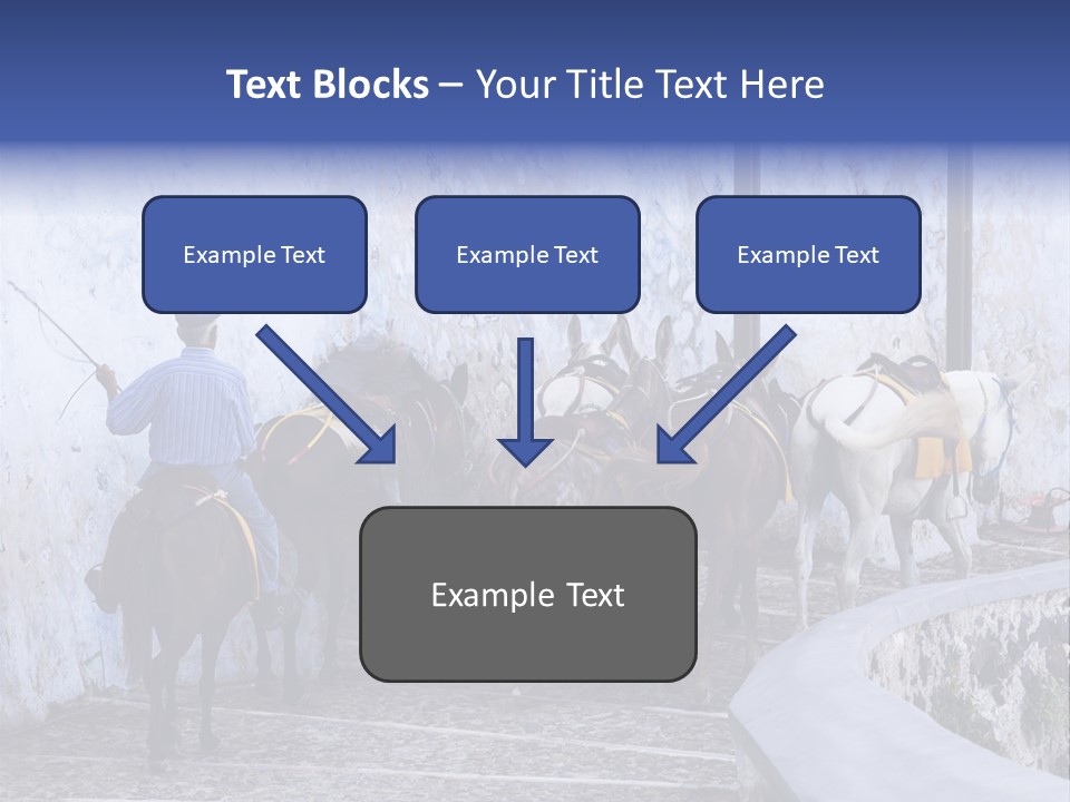 Jackass Mammal Donkey PowerPoint Template
