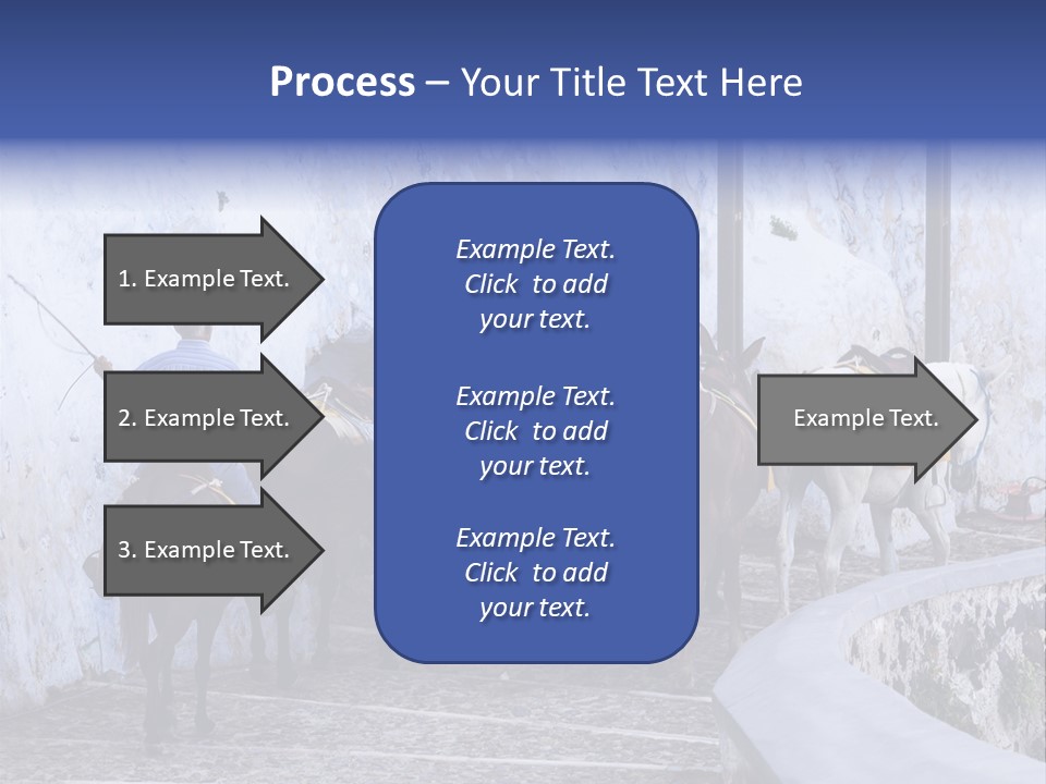 Jackass Mammal Donkey PowerPoint Template