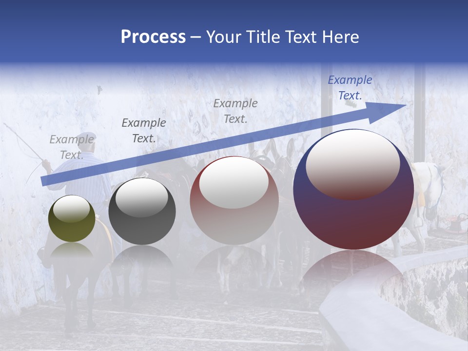 Jackass Mammal Donkey PowerPoint Template