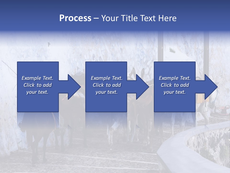 Jackass Mammal Donkey PowerPoint Template