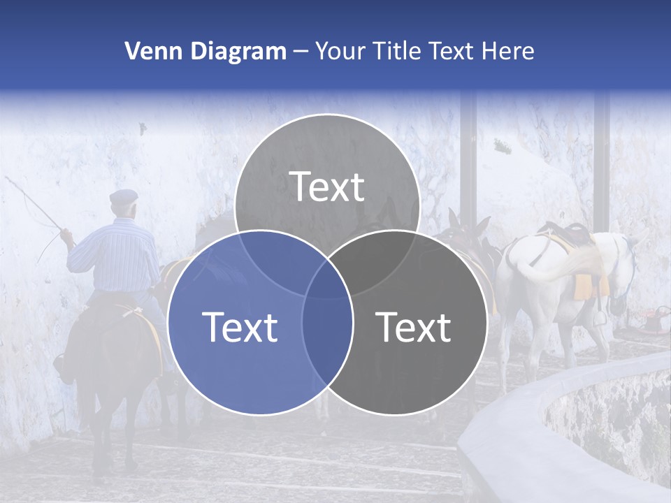 Jackass Mammal Donkey PowerPoint Template
