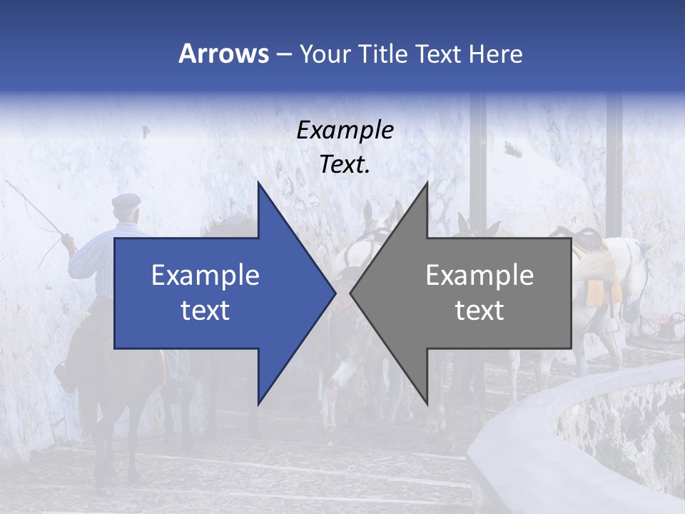 Jackass Mammal Donkey PowerPoint Template