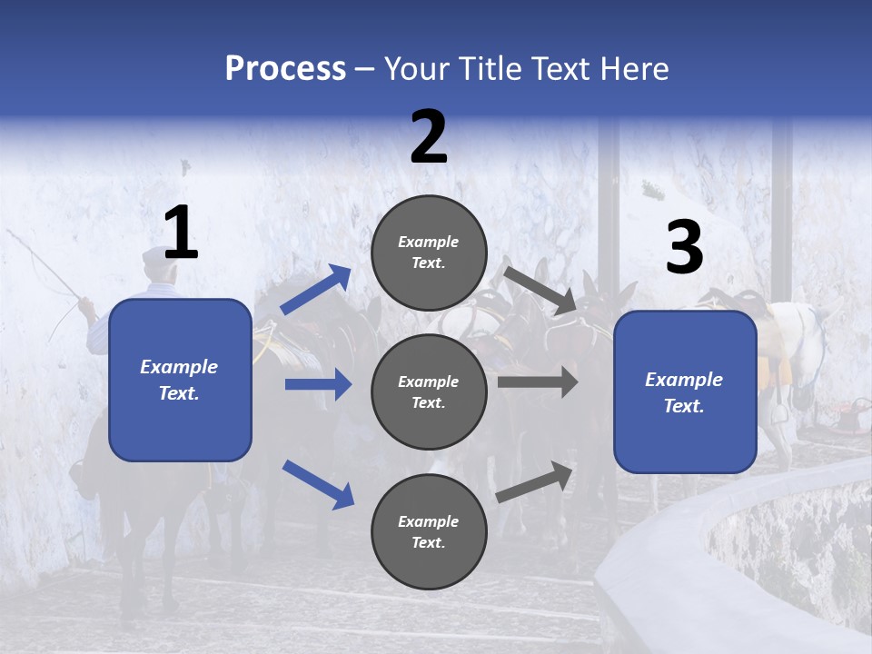 Jackass Mammal Donkey PowerPoint Template