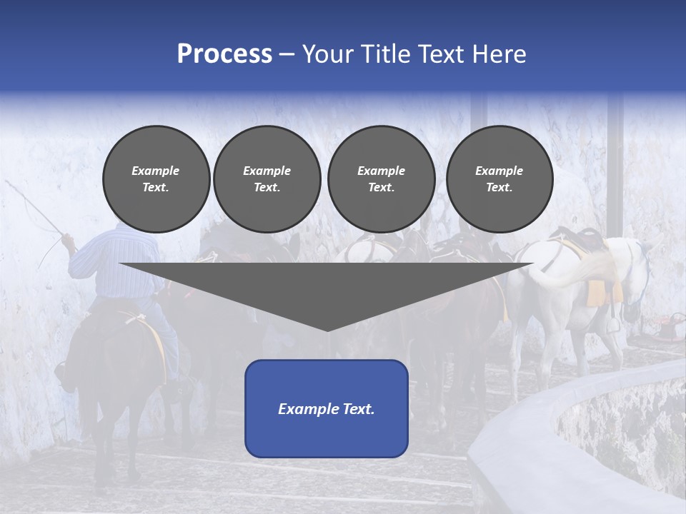 Jackass Mammal Donkey PowerPoint Template