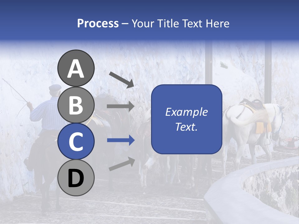 Jackass Mammal Donkey PowerPoint Template
