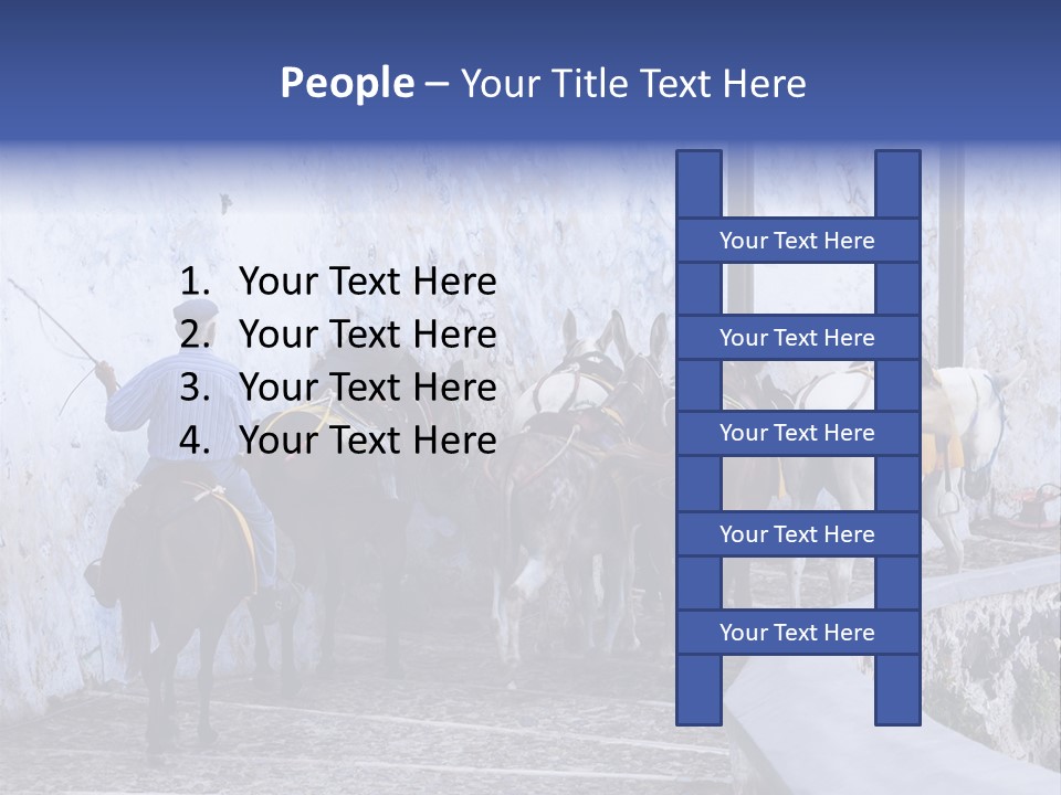 Jackass Mammal Donkey PowerPoint Template