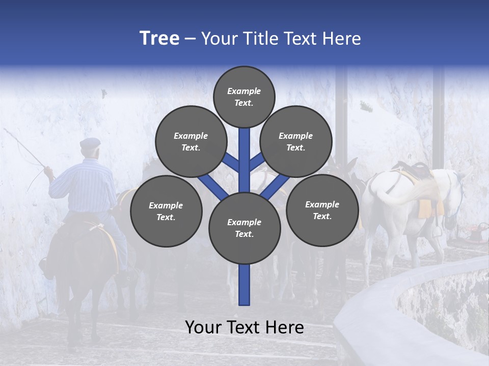 Jackass Mammal Donkey PowerPoint Template