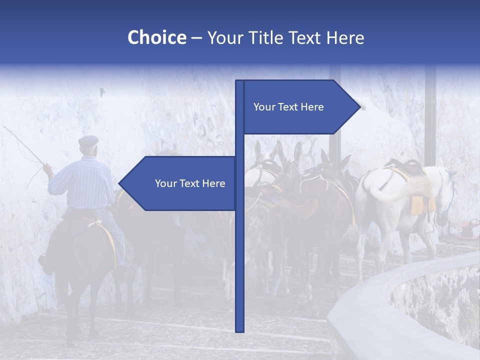 Jackass Mammal Donkey PowerPoint Template