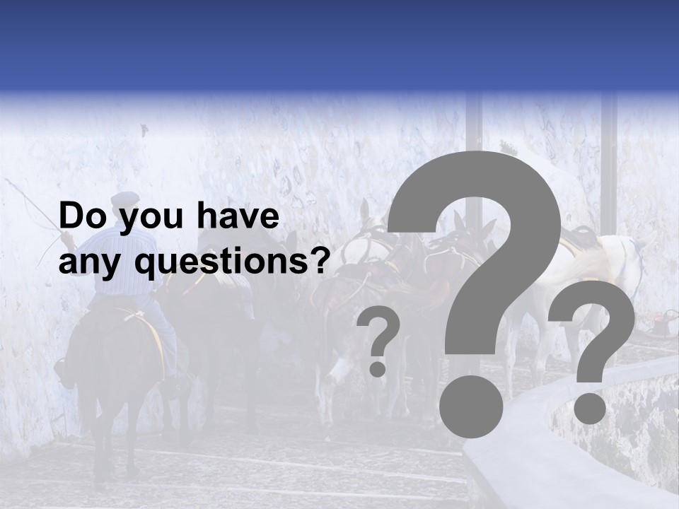 Jackass Mammal Donkey PowerPoint Template