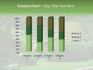 Chinese River Bridge PowerPoint Template