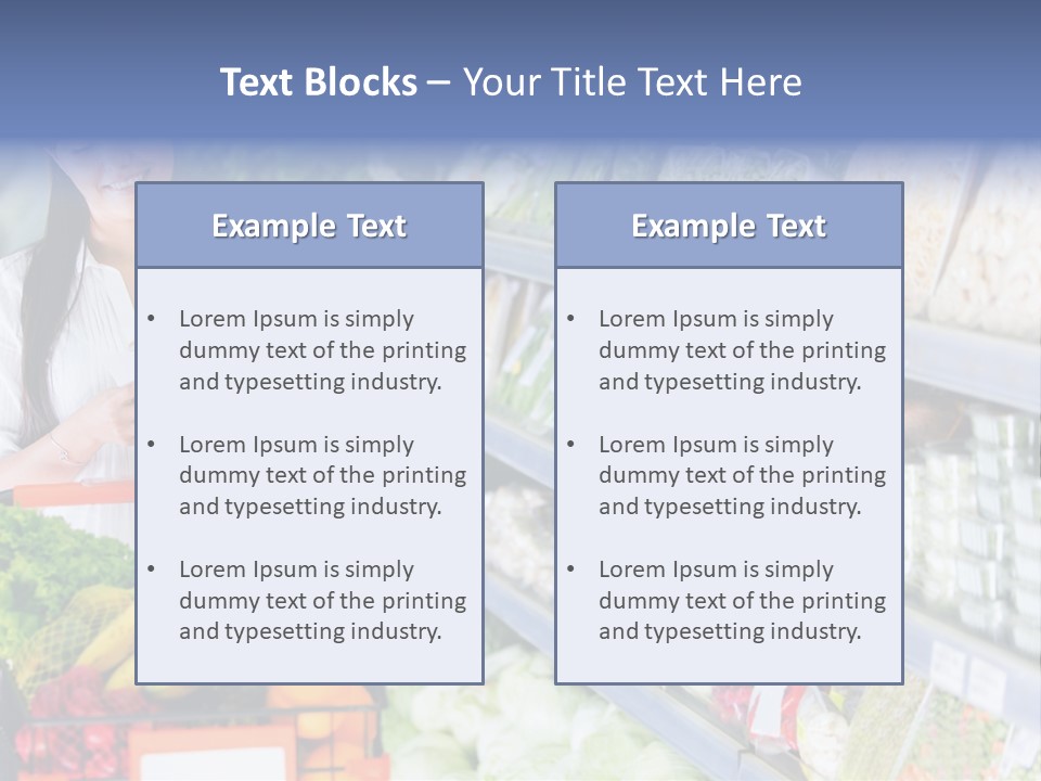 Lifestyle Checked Retail PowerPoint Template