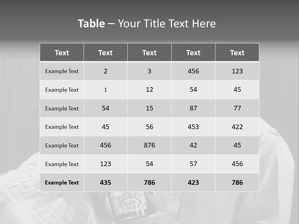 Hair Stylist Black And White Indoors PowerPoint Template