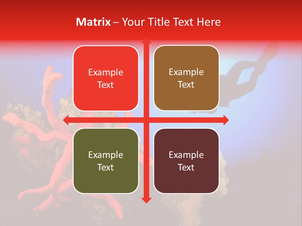 Marsa Alam Wildlife Natural PowerPoint Template