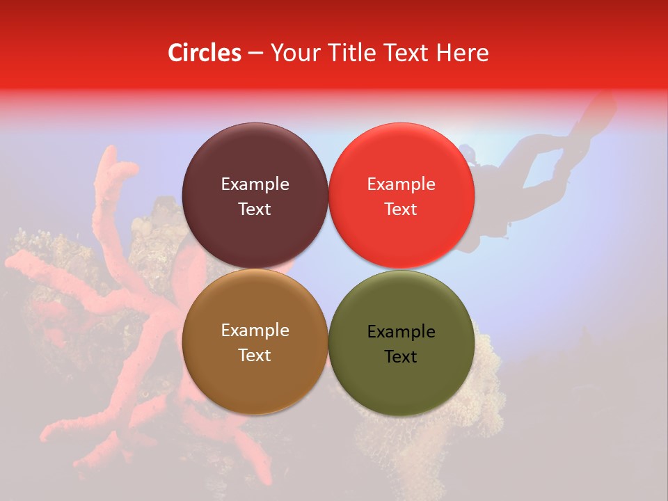 Marsa Alam Wildlife Natural PowerPoint Template