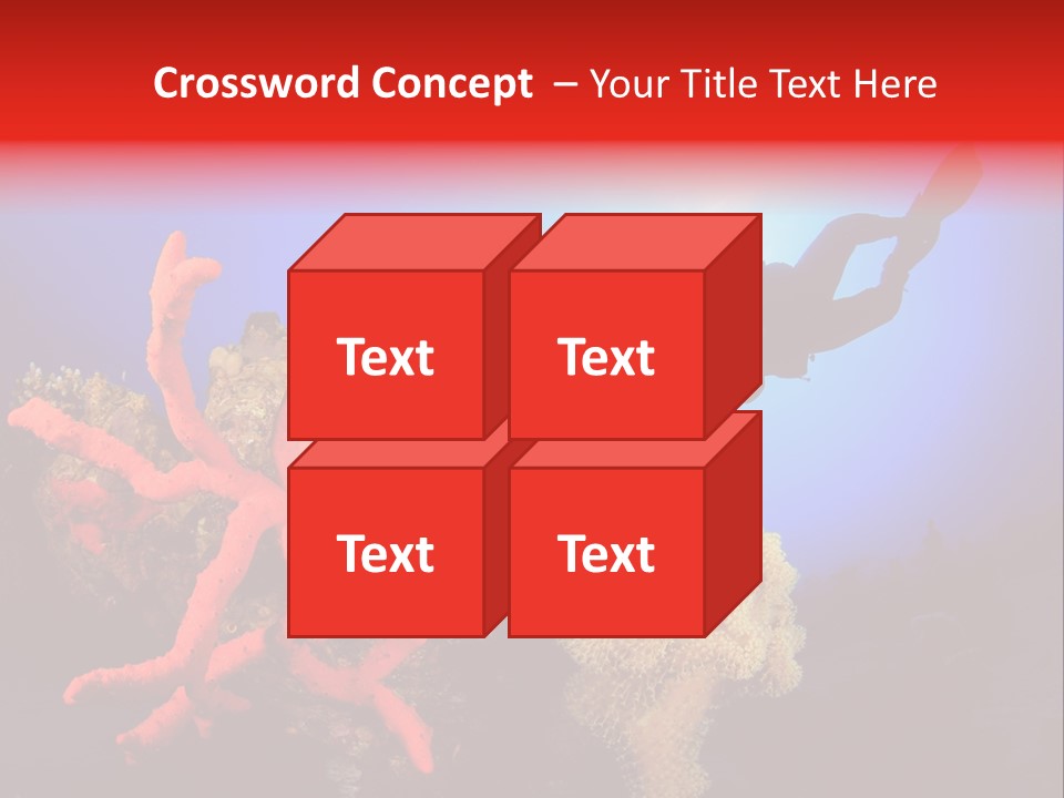 Marsa Alam Wildlife Natural PowerPoint Template