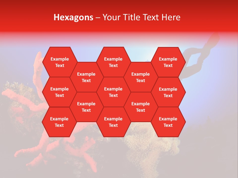 Marsa Alam Wildlife Natural PowerPoint Template