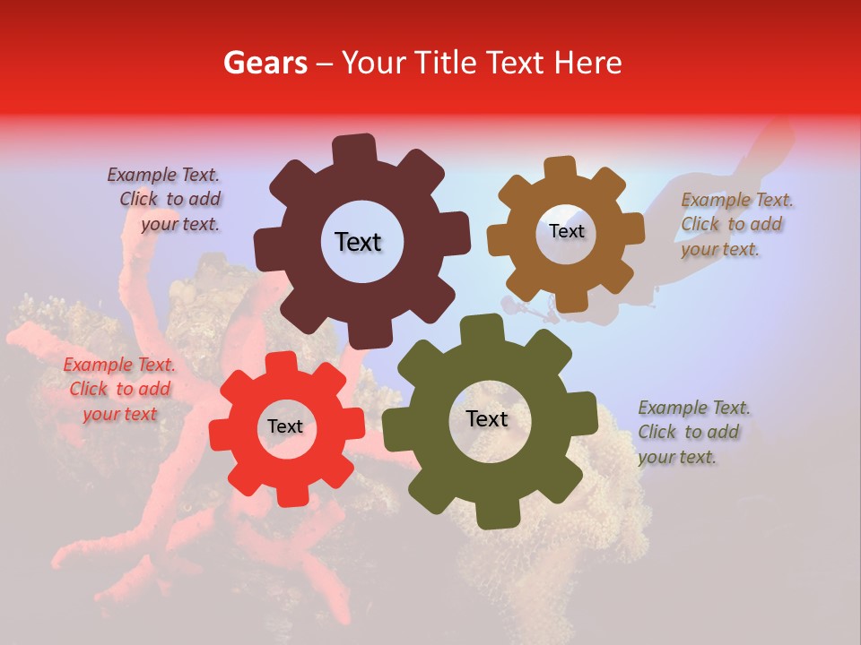 Marsa Alam Wildlife Natural PowerPoint Template