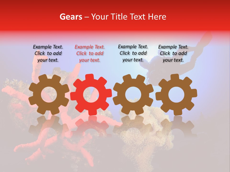 Marsa Alam Wildlife Natural PowerPoint Template