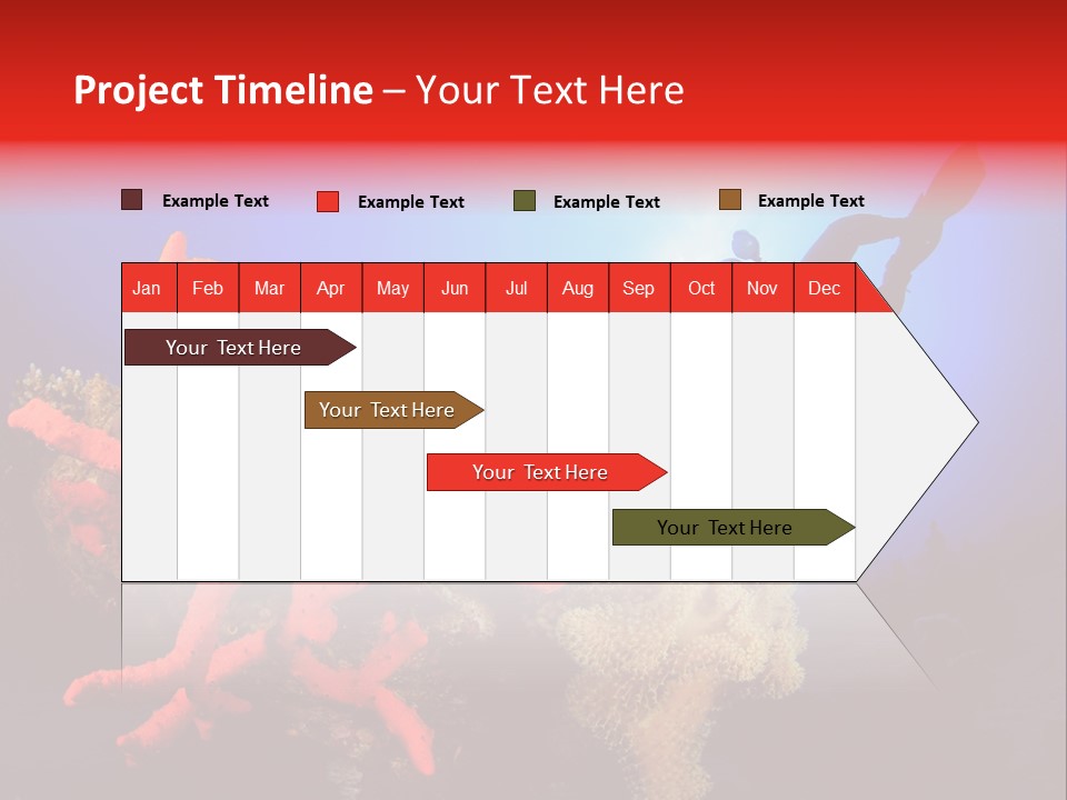 Marsa Alam Wildlife Natural PowerPoint Template