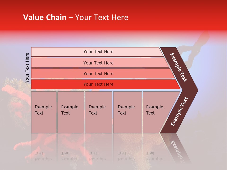 Marsa Alam Wildlife Natural PowerPoint Template
