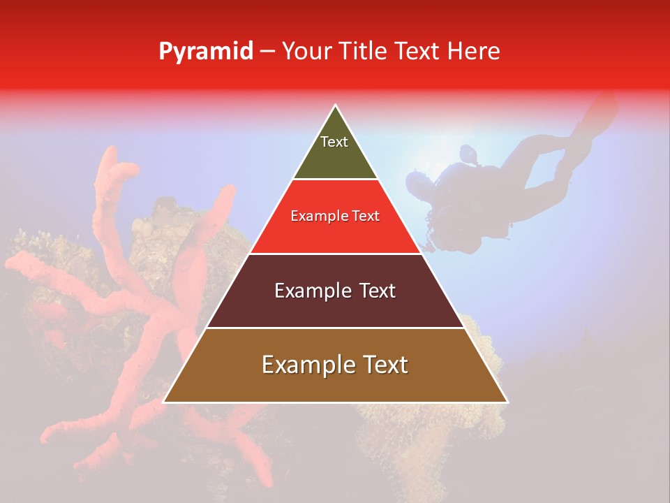 Marsa Alam Wildlife Natural PowerPoint Template