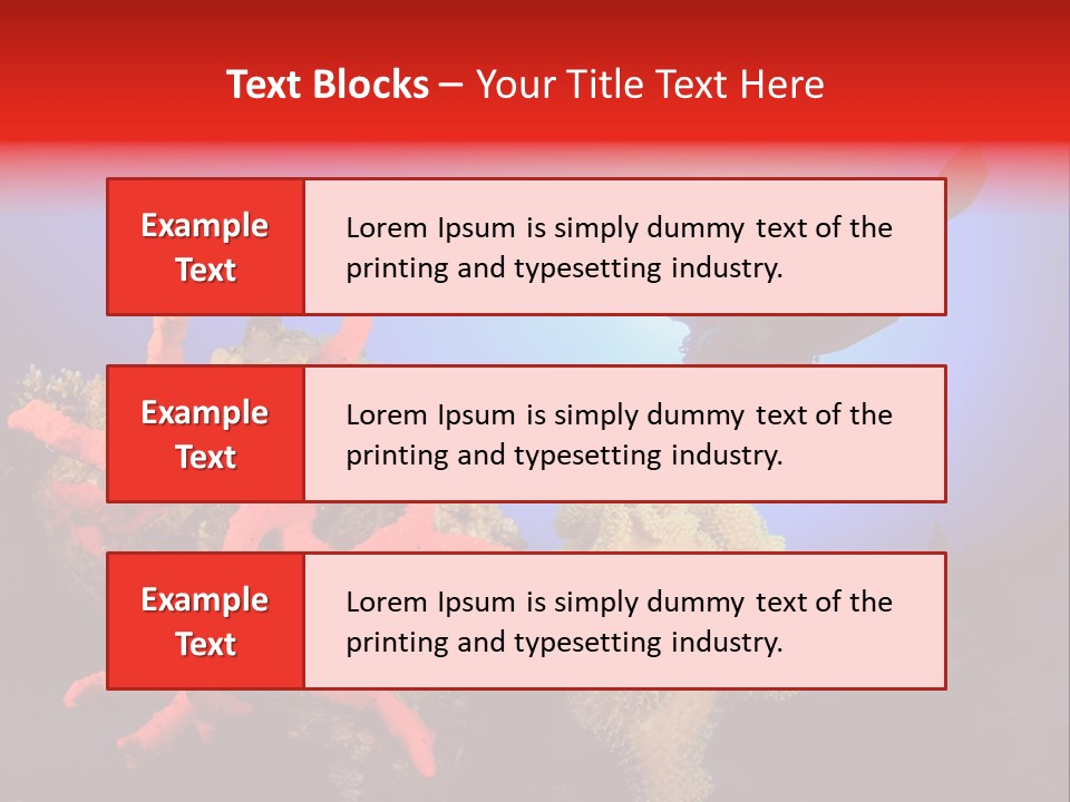 Marsa Alam Wildlife Natural PowerPoint Template