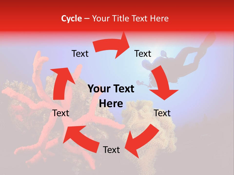 Marsa Alam Wildlife Natural PowerPoint Template