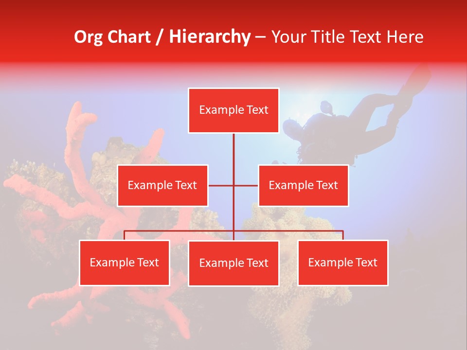 Marsa Alam Wildlife Natural PowerPoint Template