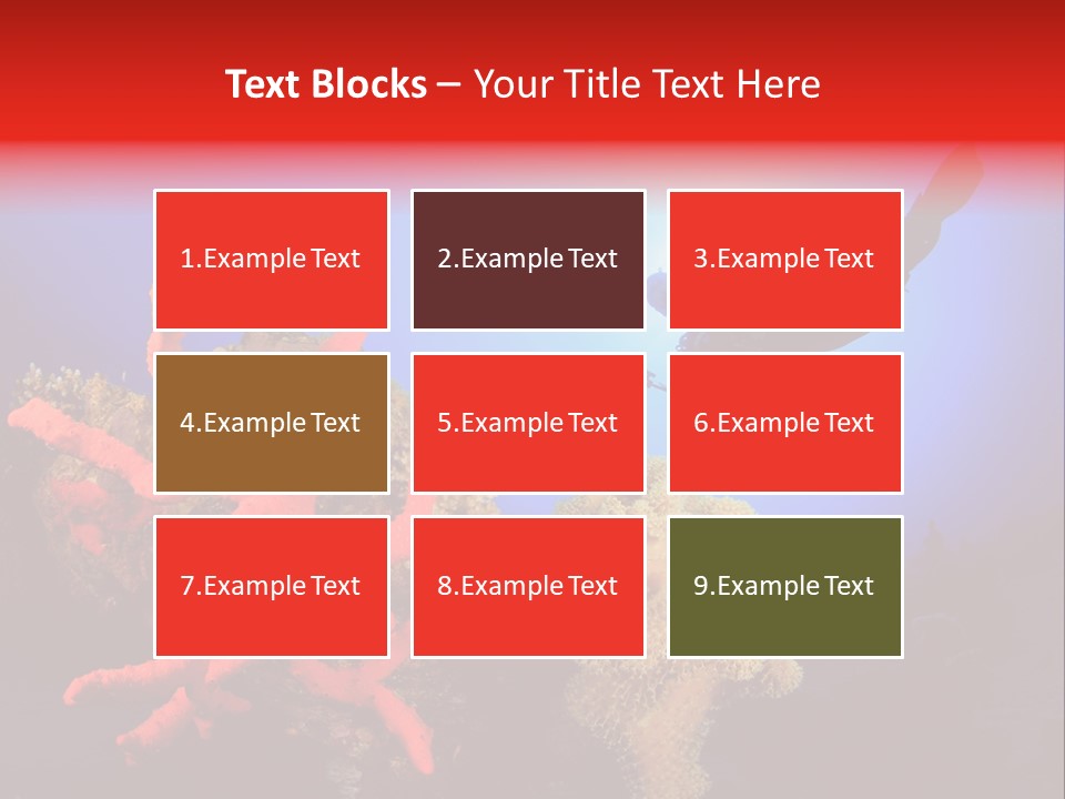 Marsa Alam Wildlife Natural PowerPoint Template