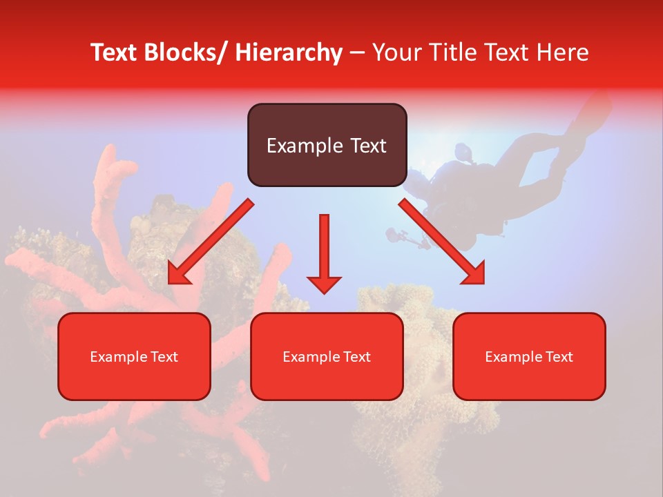 Marsa Alam Wildlife Natural PowerPoint Template