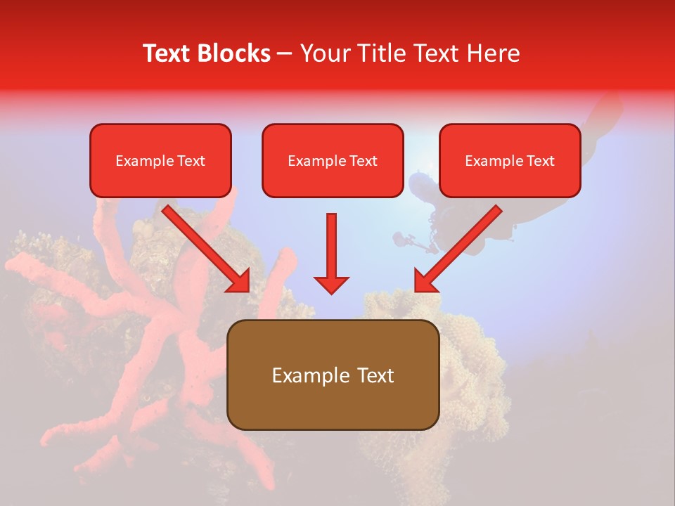 Marsa Alam Wildlife Natural PowerPoint Template