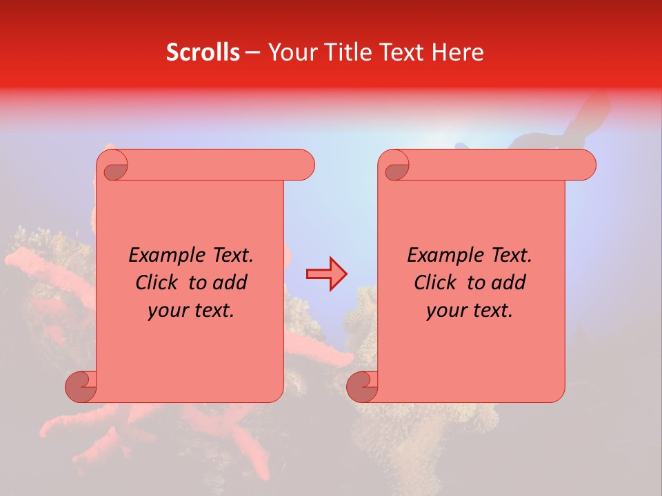 Marsa Alam Wildlife Natural PowerPoint Template
