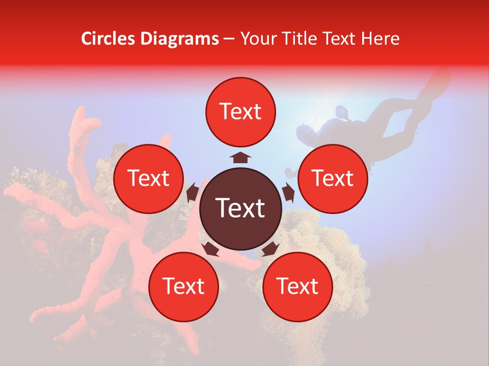 Marsa Alam Wildlife Natural PowerPoint Template