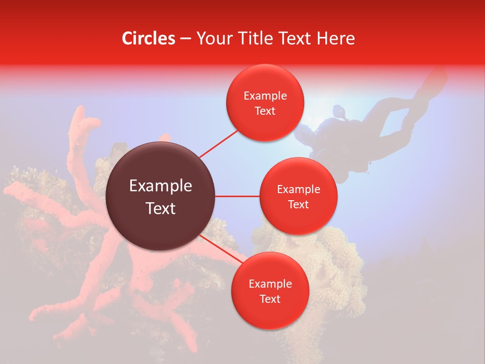 Marsa Alam Wildlife Natural PowerPoint Template