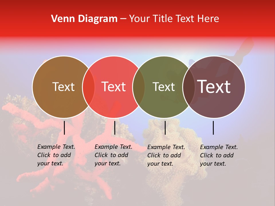 Marsa Alam Wildlife Natural PowerPoint Template
