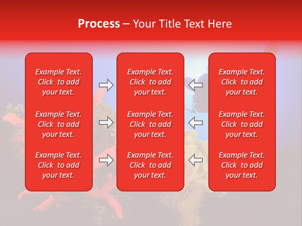 Marsa Alam Wildlife Natural PowerPoint Template
