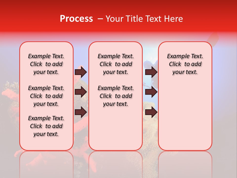 Marsa Alam Wildlife Natural PowerPoint Template