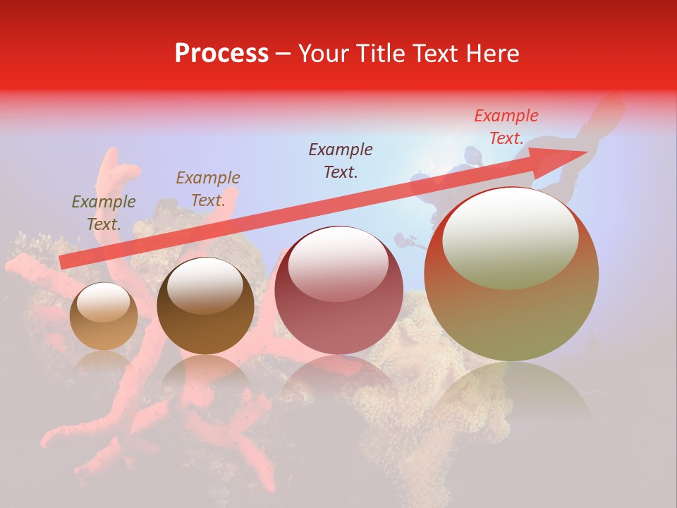 Marsa Alam Wildlife Natural PowerPoint Template