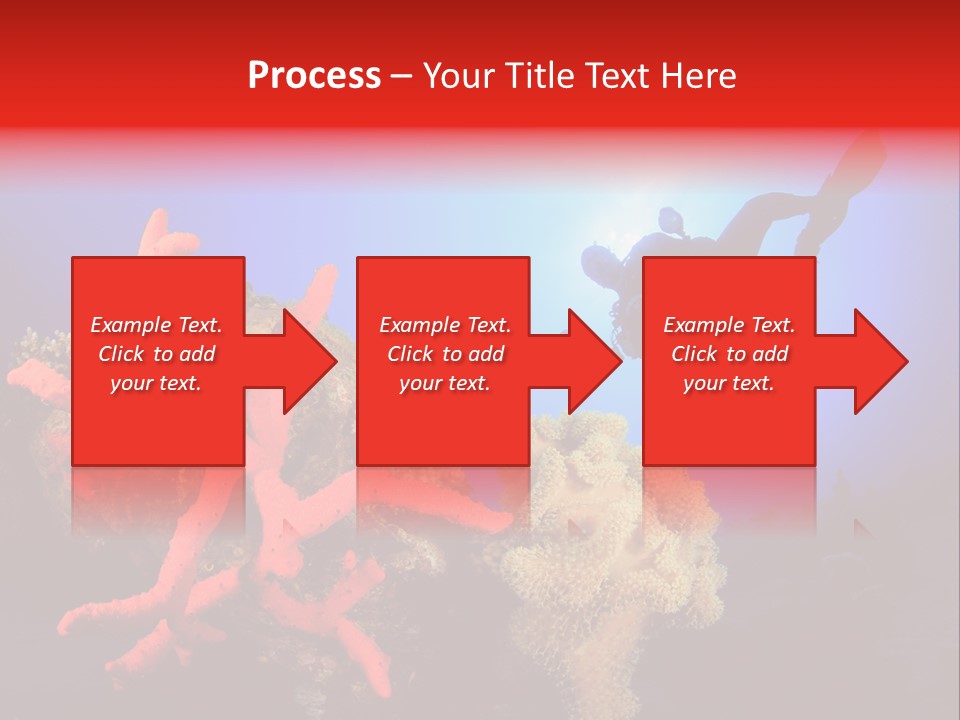 Marsa Alam Wildlife Natural PowerPoint Template