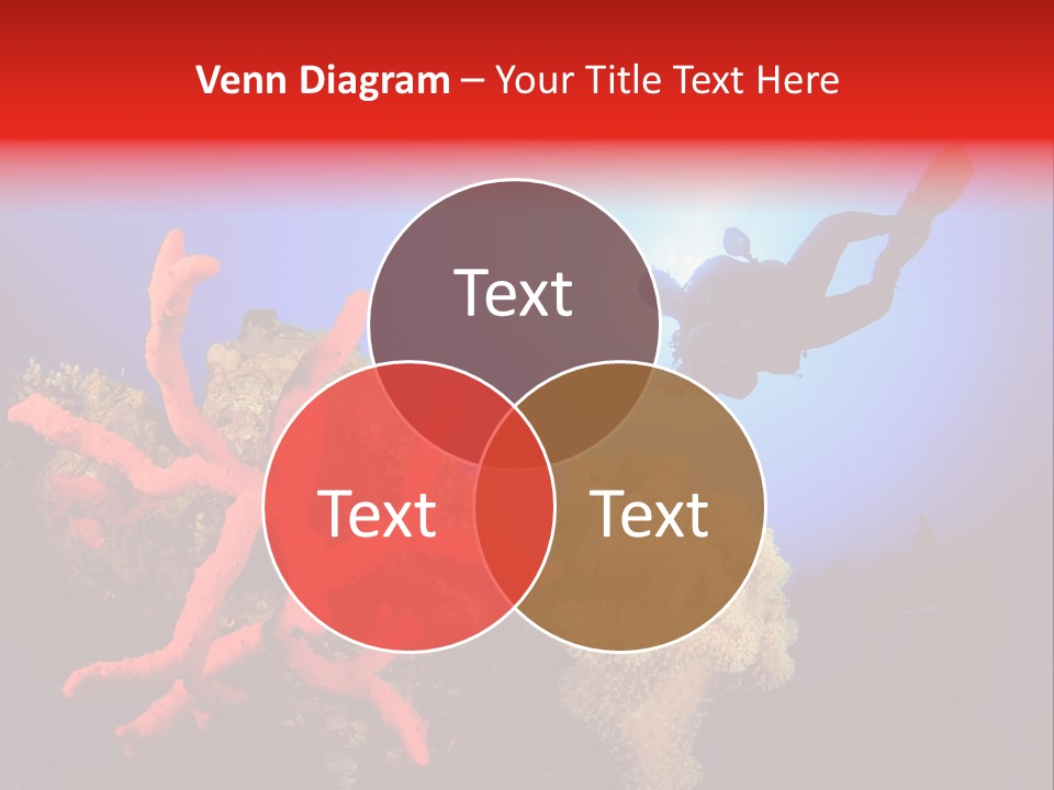 Marsa Alam Wildlife Natural PowerPoint Template