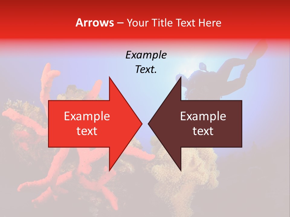 Marsa Alam Wildlife Natural PowerPoint Template