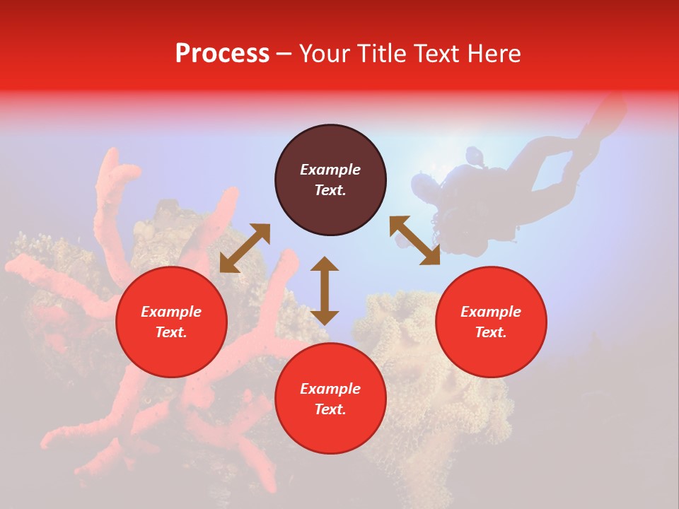 Marsa Alam Wildlife Natural PowerPoint Template