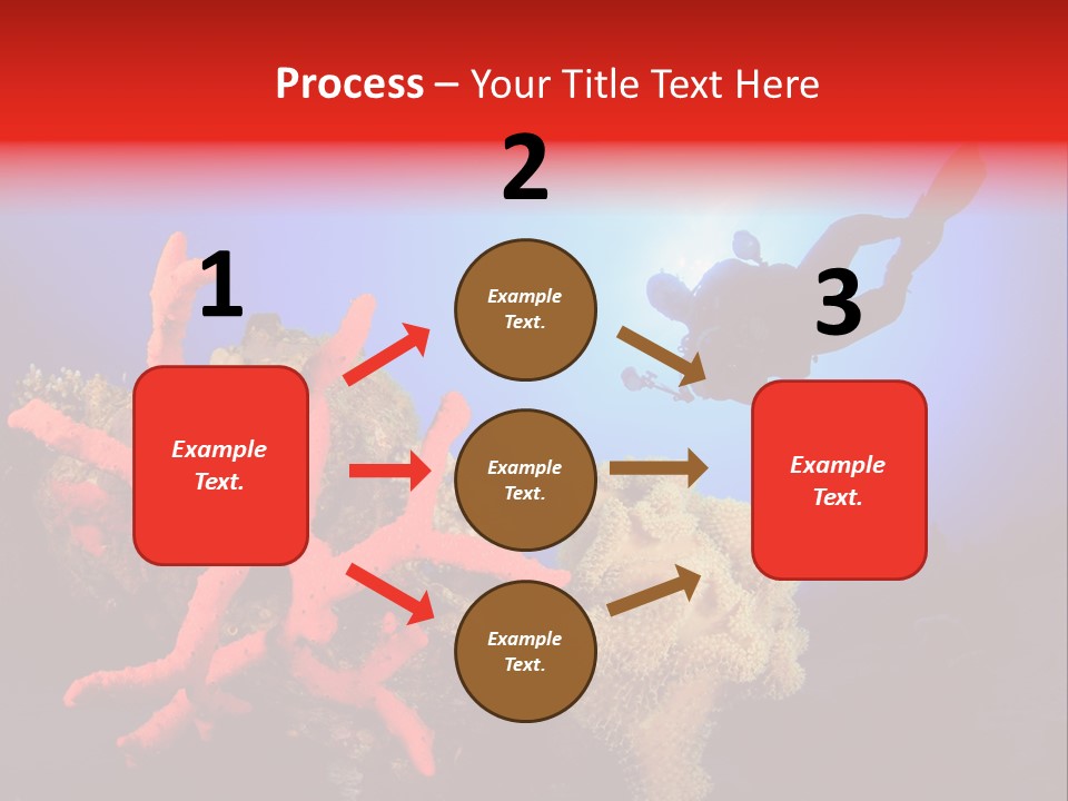 Marsa Alam Wildlife Natural PowerPoint Template